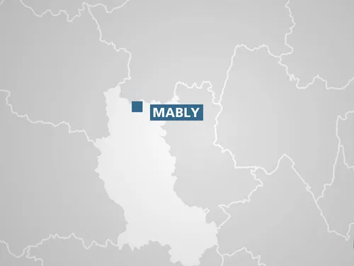 Bébés morts dans le Roannais : identifiée, leur mère placée en...
