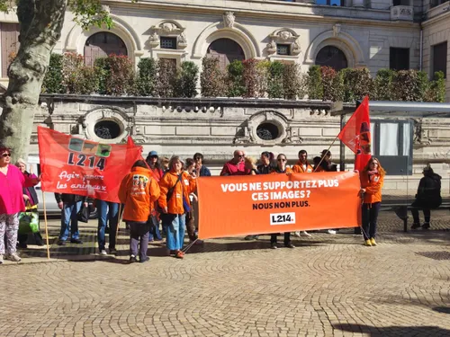 Abattoir de Charlieu : un rassemblement devant la Préfecture ce...