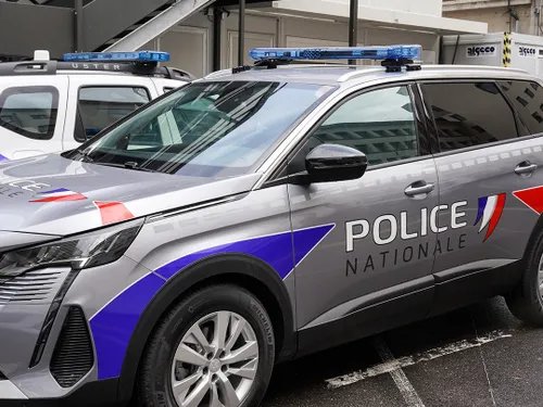 Saint-Etienne : Un homme interpellé, soupçonné d'actes de torture...