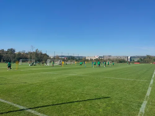 ASSE : cinq matchs amicaux pour les verts cet été 