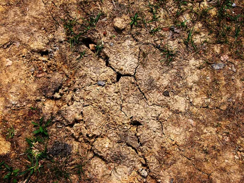 Loire : la sécheresse s'aggrave dans le département