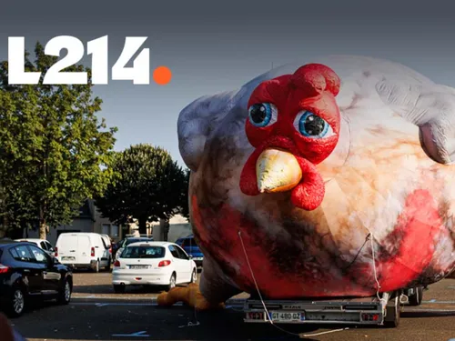 L214 va déployer un poulet géant à Saint-Etienne ce jeudi