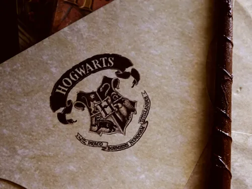 La Nuit des livres Harry Potter de retour en Haute-Garonne 