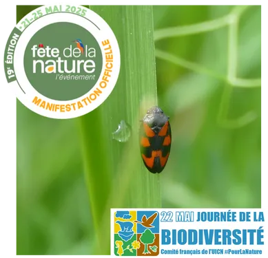 Visite biodiversité ArcelorMittal - balade photo le 22 mai à...
