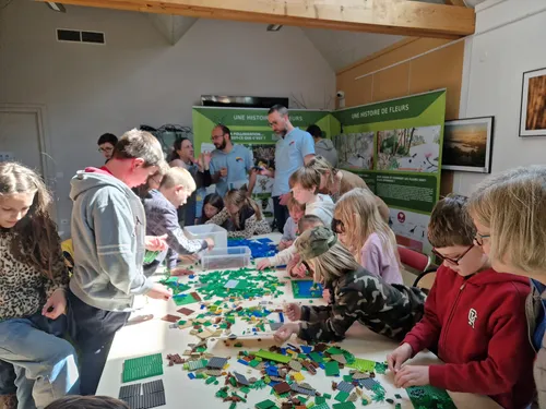  Les étangs du Romelaëre prennent vie en Lego 