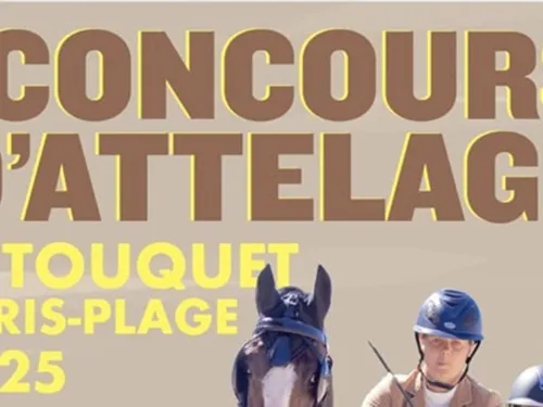 Concours d'Attelage du 14 au 16 mars au Touquet
