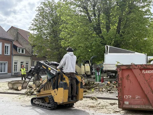 Bourbourg : pourquoi 14 arbres sont abattus 