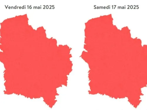 La région Hauts-de-France classée en alerte rouge aux pollens de...