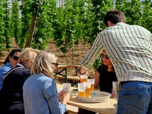 Saint-Sylvestre-Cappel : visites, concerts et animations à la...