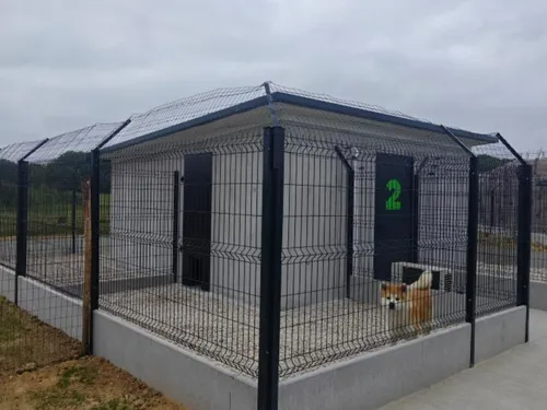 Des hébergements pour chiens et chats à Ebblinghem 