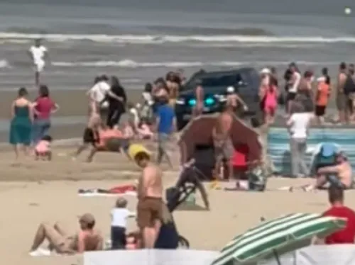 Bray-Dunes : alerte requin en plein après-midi ensoleillée