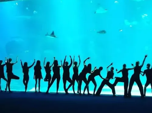 HALMAHERA – Un spectacle de danse au coeur de l’Océan à Nausicaá