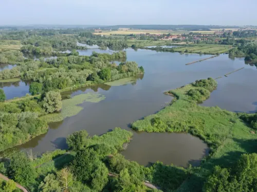 Audomarois : retour à la nature aux Étangs du Romelaëre