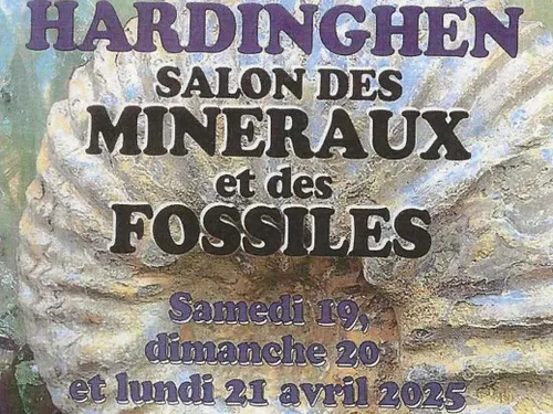 Le Salon des Minéraux et des Fossiles revient ce week-end Pascal à...
