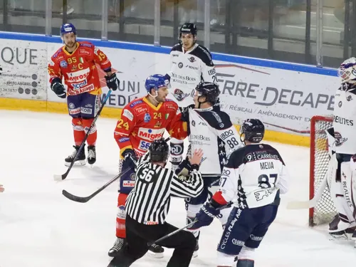 Hockey sur glace : Nouvelle direction pour les Ducs d'Angers
