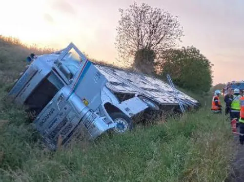 En Mayenne. Un camion de bétail couché, l'autoroute A81...