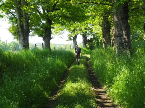 En Mayenne. La randonnée de 104 km autour du Mont des Avaloirs...