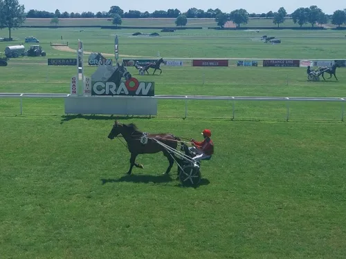 Les pronostics hippiques pour ce dimanche 22 juin