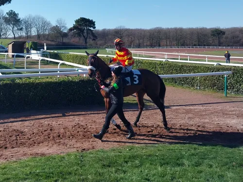 Hippisme : nos préférés pour ce samedi 29 avril