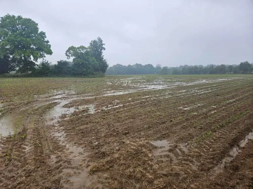 En Mayenne. Les agriculteurs impactés par les inondations