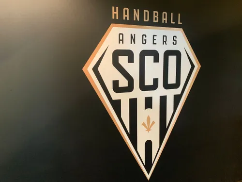 Handball. Angers Sco se prépare au repêchage en Proligue avec son...