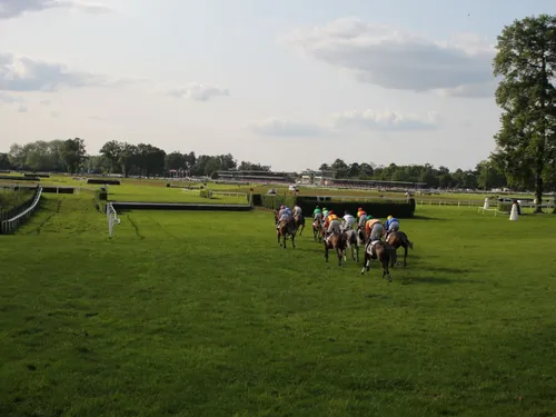 Lion d'Angers. Des Estivales festives et sportives à l'hippodrome