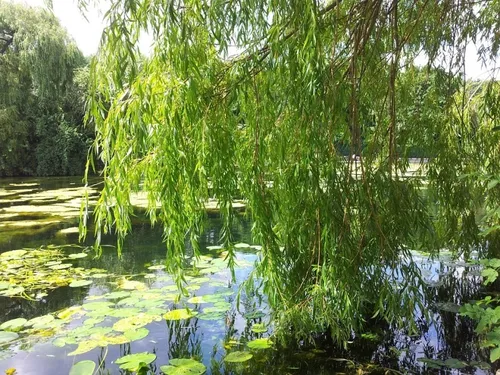 Les activités nautiques interdites sur la Mayenne, une décision...