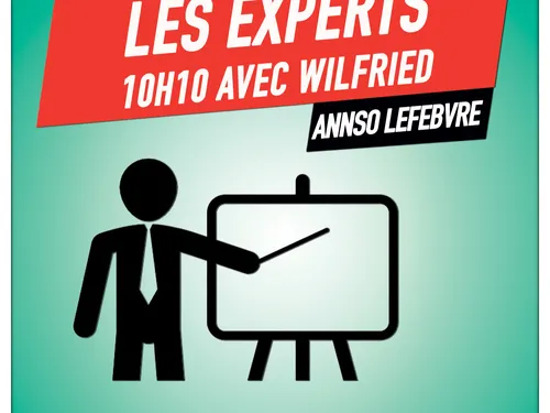 Les experts de Wilfried, AnnSo Lefebvre