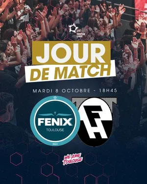 FENIX Toulouse Handball...Jour de Coupe d'Europe au Palais