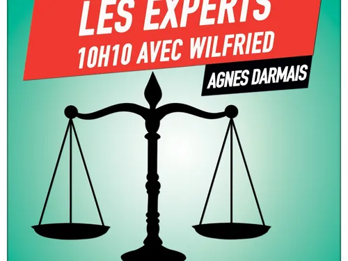 Les experts de Wilfried, Agnes Darmais