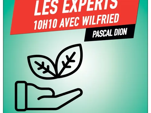 Les experts de Wilfried, Pascal Dion