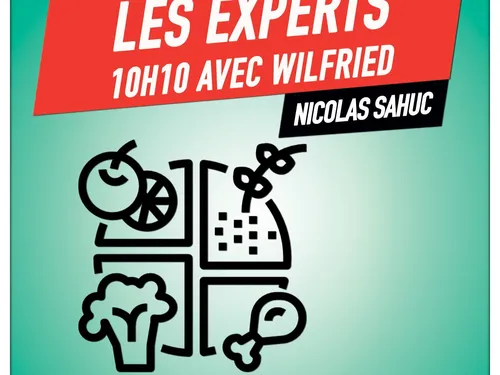 Les experts de Wilfried, Nicolas Sahuc