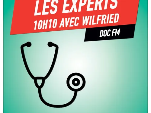Les experts de Wilfried, Doc Fm