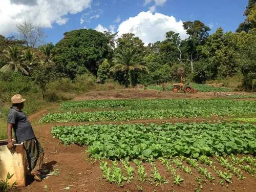 MAYOTTE : GBH DONNE PLUS D’UN MILLION D’EUROS POUR RELANCER...