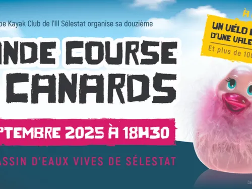 Grande Course de Canards de Sélestat