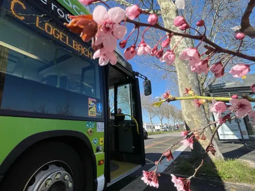 Colmar : fin des tickets de bus jetables pour Trace 