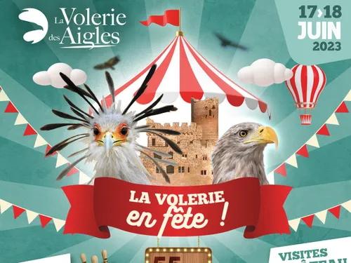 55 ans : La Volerie des Aigles en fête !