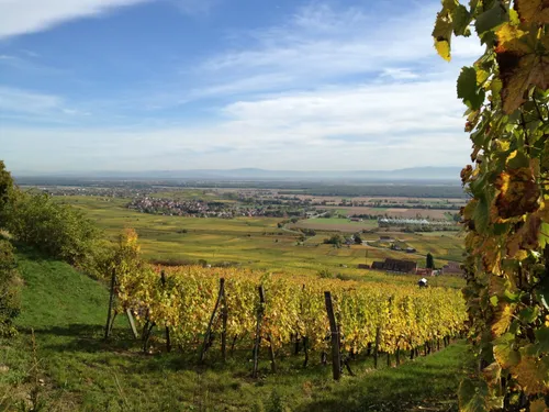 Les plus beaux circuits de rando en Alsace