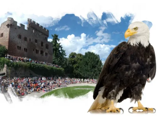 La Volerie des Aigles 