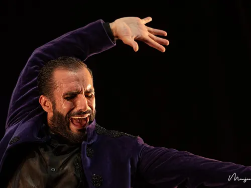 Compagnie Rafael Ramirez dans le cadre du Printemps du Flamenco