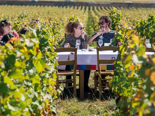 Le week-end de Pentecôte chez un vigneron