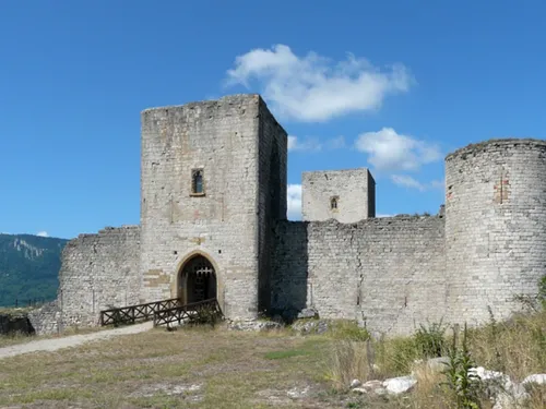 Aude : 24 Dragons aperçus dans le Château Cathare de Puivert