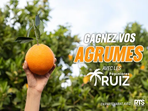 Gagnez votre arbre fruitier avec les pépinières Ruiz