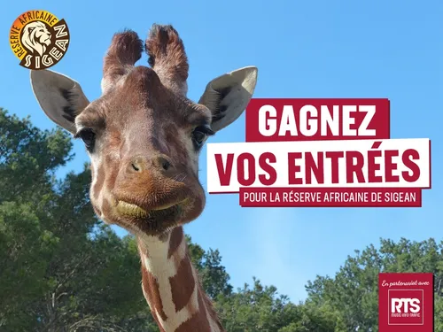 Gagnez vos entrées pour Sigean août 2025