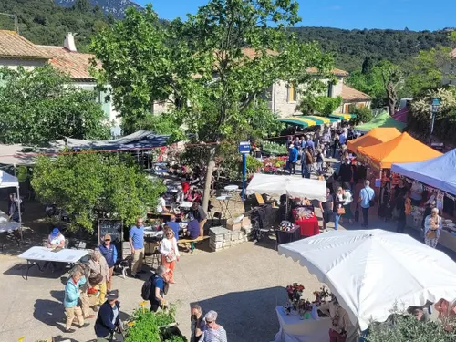 Hérault : cette commune va accueillir une grande fête des fleurs !