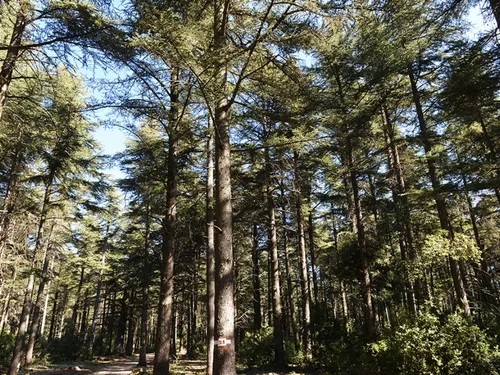 Vaucluse : 5 randos familiales à faire quand il fait chaud