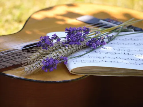 Avignon, Nîmes, Alès… Que faire pour la Fête de la Musique dans le...
