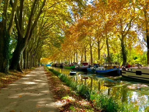 Hérault : la circulation à vélo s’améliore le long du canal du midi