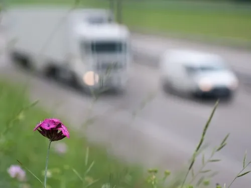 Week-end du nouvel an : des difficultés à prévoir sur les routes du...