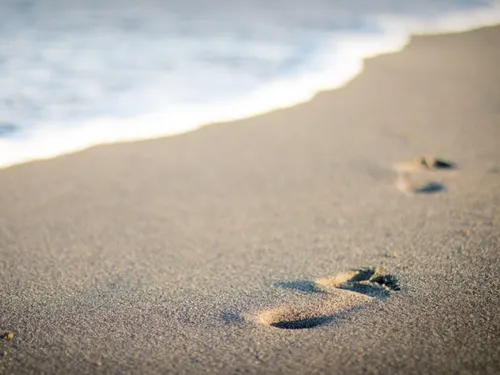 Les plages du Nord-Pas-de-Calais de mauvaises qualité selon ce...
